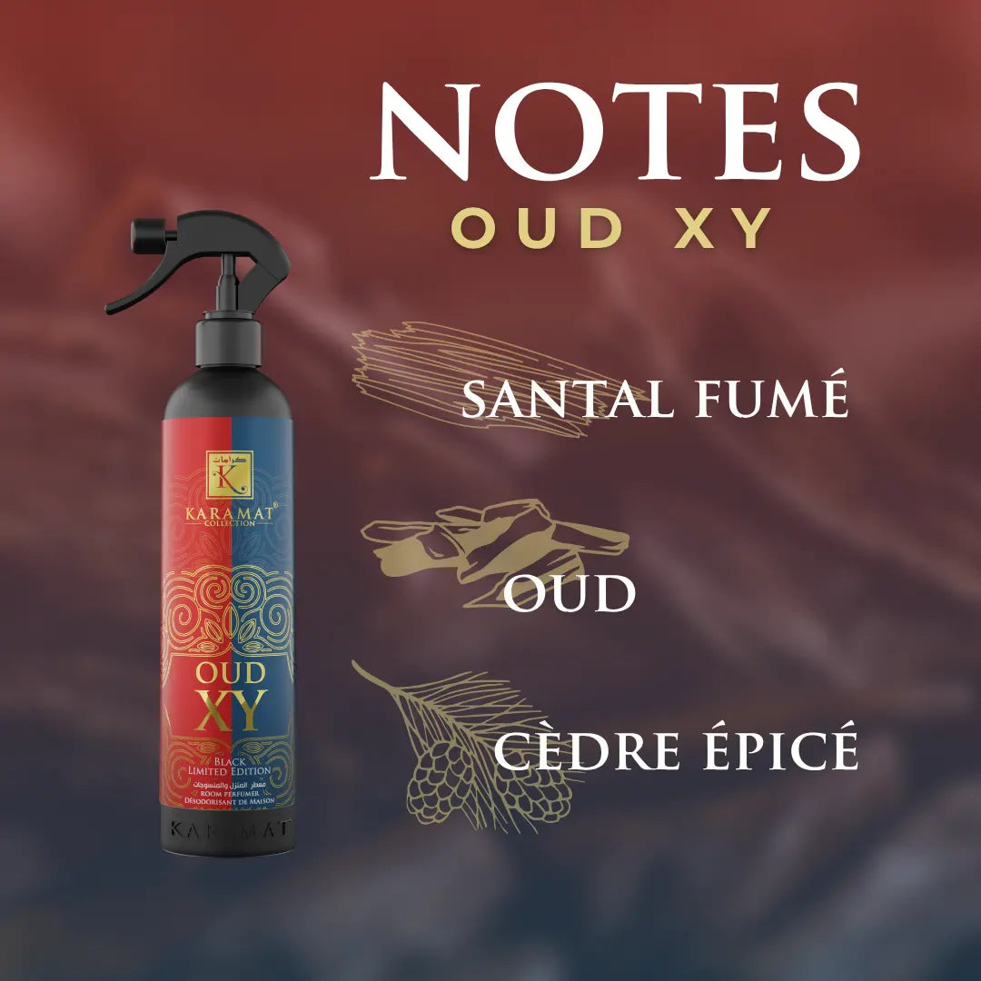 Oud XY – Spray d’Oud Mystérieux 500 ml