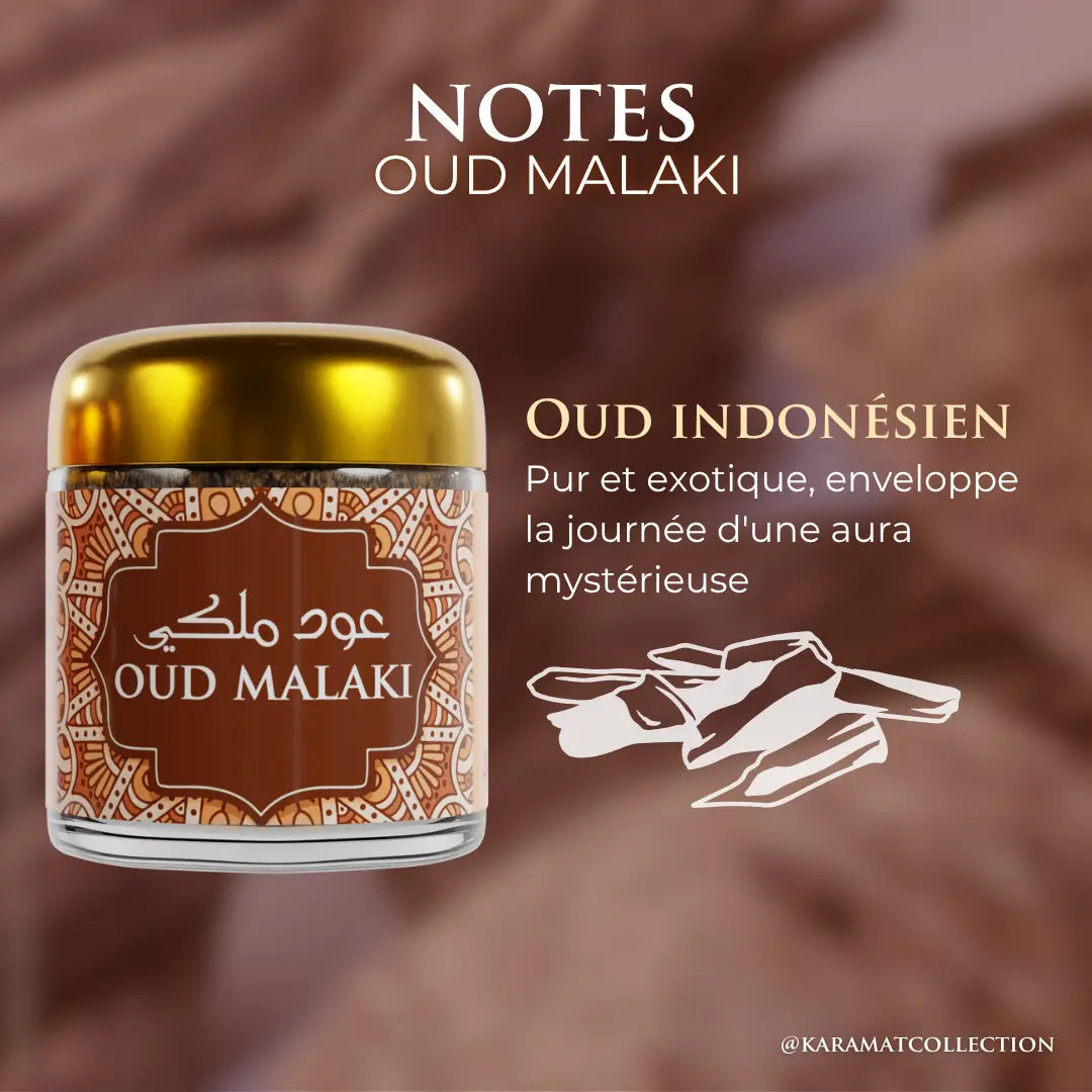 Bakhour Mabsous Oud Malaki — 30 g