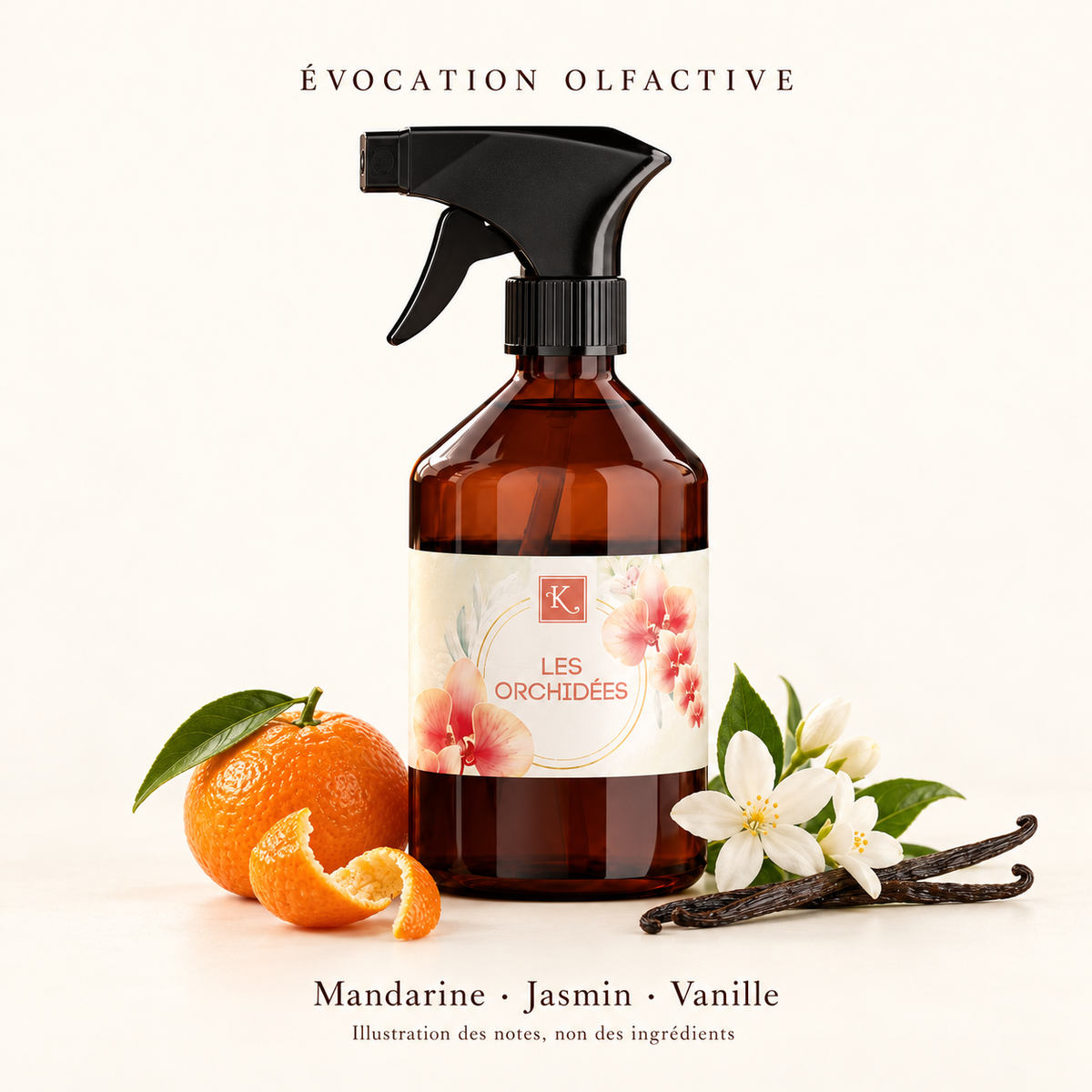 Évocation olfactive — Mandarine, Jasmin, Vanille ; illustration des notes, non des ingrédients.